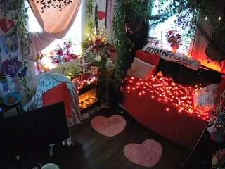 voyeurcam-veccasalt-01 webcam