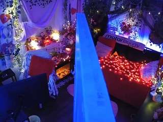 voyeurcam-veccasalt-01 webcam