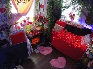 voyeurcam-veccasalt-01 webcam