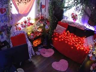 voyeurcam-veccasalt-01 webcam