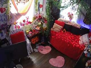 voyeurcam-veccasalt-01 webcam