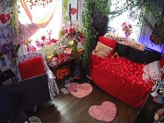 voyeurcam-veccasalt-01 webcam