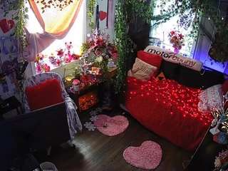 voyeurcam-veccasalt-01 webcam