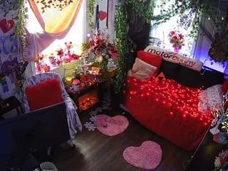 voyeurcam-veccasalt-01 webcam