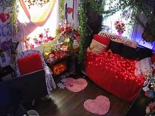 voyeurcam-veccasalt-01 webcam