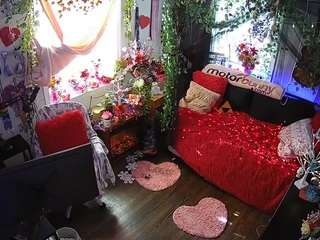 voyeurcam-veccasalt-01 webcam