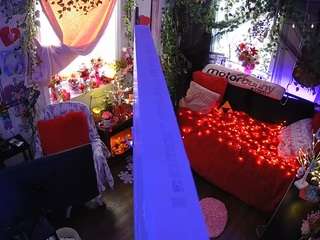 voyeurcam-veccasalt-01 webcam