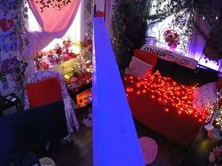 voyeurcam veccasalt 01