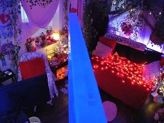 voyeurcam-veccasalt-01 webcam