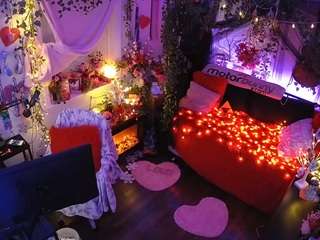 voyeurcam-veccasalt-01 webcam