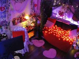 voyeurcam-veccasalt-01