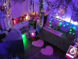 voyeurcam-veccasalt-01