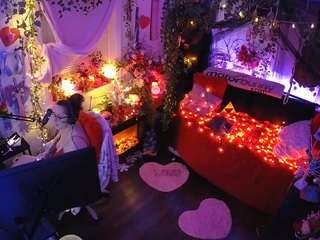 voyeurcam-veccasalt-01 webcam