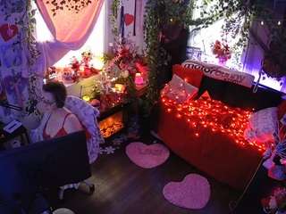 voyeurcam-veccasalt-01 webcam