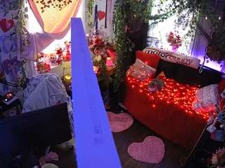 voyeurcam-veccasalt-01 webcam