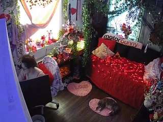 voyeurcam veccasalt 01