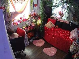 voyeurcam veccasalt 01