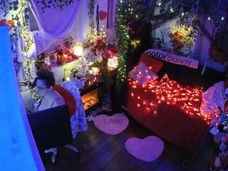 voyeurcam-veccasalt-01 webcam