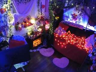 voyeurcam-veccasalt-01