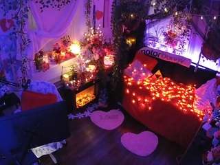 voyeurcam-veccasalt-01 webcam