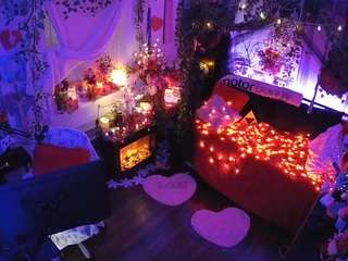 voyeurcam-veccasalt-01 webcam