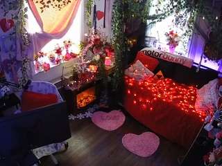 voyeurcam-veccasalt-01 webcam