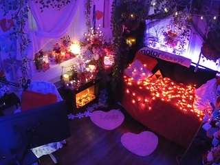 voyeurcam-veccasalt-01 webcam