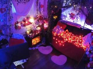 voyeurcam veccasalt 01