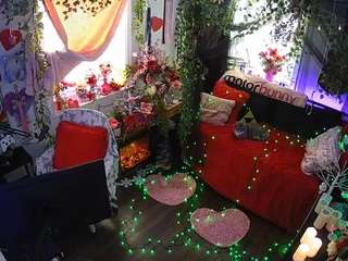 voyeurcam-veccasalt-01 webcam