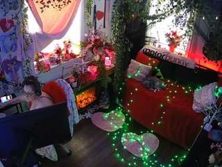 voyeurcam-veccasalt-01 webcam