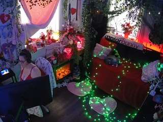 voyeurcam-veccasalt-01 webcam