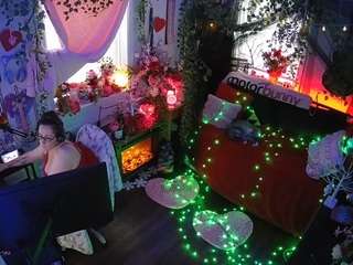 voyeurcam-veccasalt-01 webcam