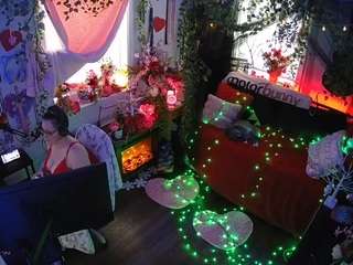 voyeurcam-veccasalt-01 webcam