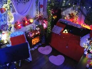 voyeurcam-veccasalt-01 webcam