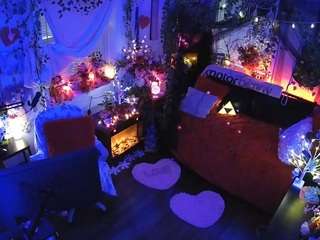 voyeurcam-veccasalt-01 webcam