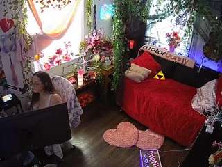 voyeurcam-veccasalt-01 webcam