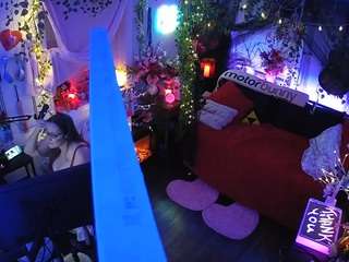 voyeurcam-veccasalt-01 webcam