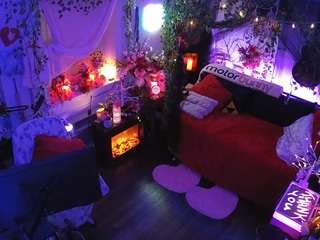 voyeurcam-veccasalt-01 webcam