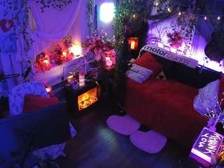 voyeurcam-veccasalt-01 webcam