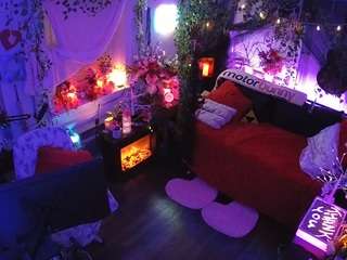 voyeurcam-veccasalt-01 webcam