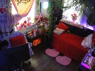 voyeurcam-veccasalt-01 webcam