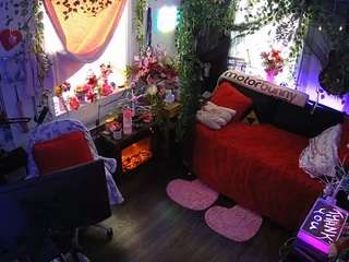 voyeurcam-veccasalt-01 webcam