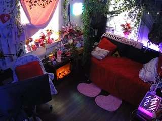 voyeurcam-veccasalt-01 webcam