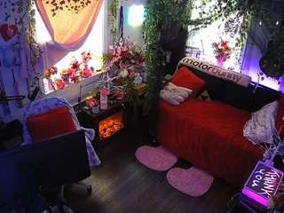 voyeurcam-veccasalt-01 webcam