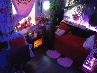 voyeurcam-veccasalt-01