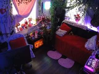 voyeurcam-veccasalt-01 webcam