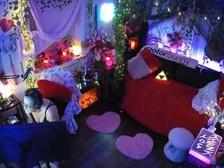 voyeurcam veccasalt 01