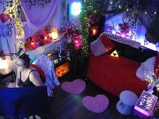 voyeurcam-veccasalt-01 webcam