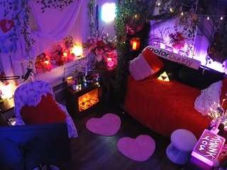 voyeurcam-veccasalt-01 webcam