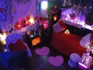 voyeurcam-veccasalt-01 webcam